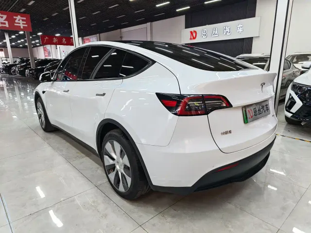 Tesla Model Y — Фото автомобиля 9