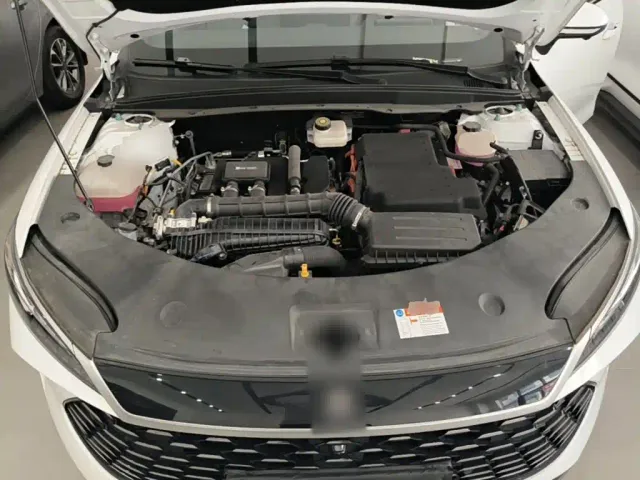 BYD Qin PLUS — Фото автомобиля 19