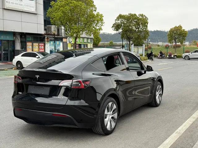 Tesla Model Y — Фото автомобиля 7