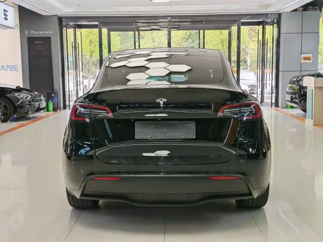 Tesla Model Y — Фото автомобиля 10