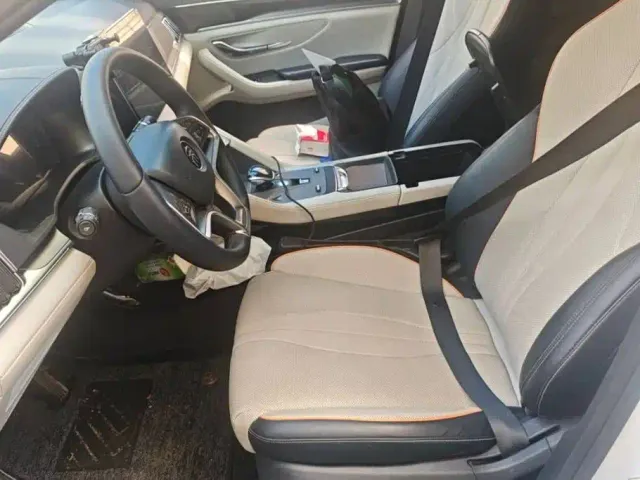 BYD Song PLUS — Фото автомобиля 11