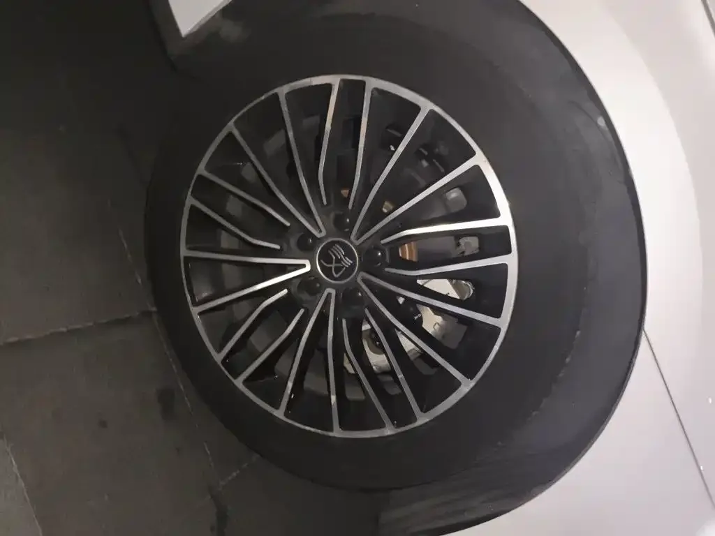 BYD Han 2020 DM AWD Performance Premium — Фото автомобиля 25