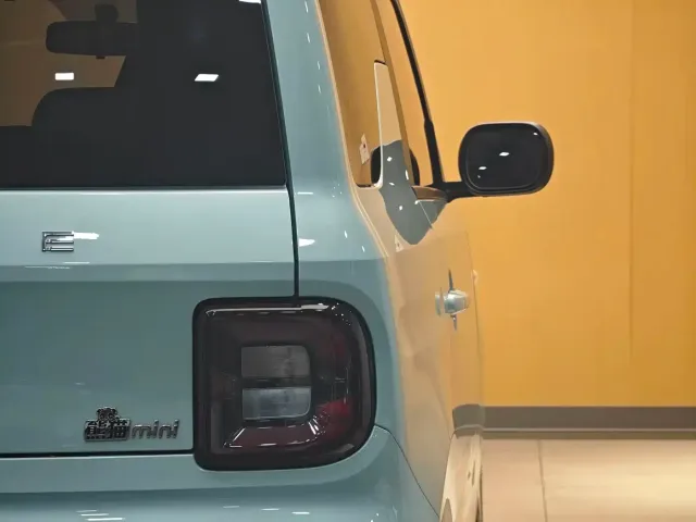 Geely Panda — Фото автомобиля 21