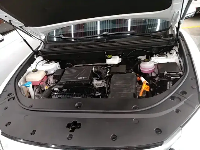 BYD Song Pro — Фото автомобиля 19