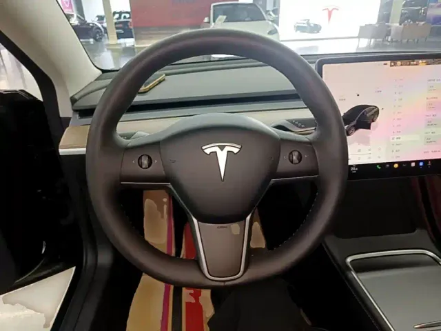 Tesla Model 3 — Фото автомобиля 10