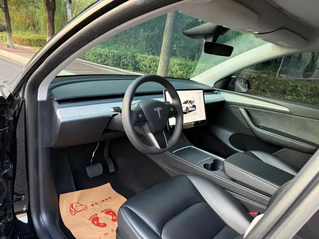 Tesla Model Y — Фото автомобиля 10
