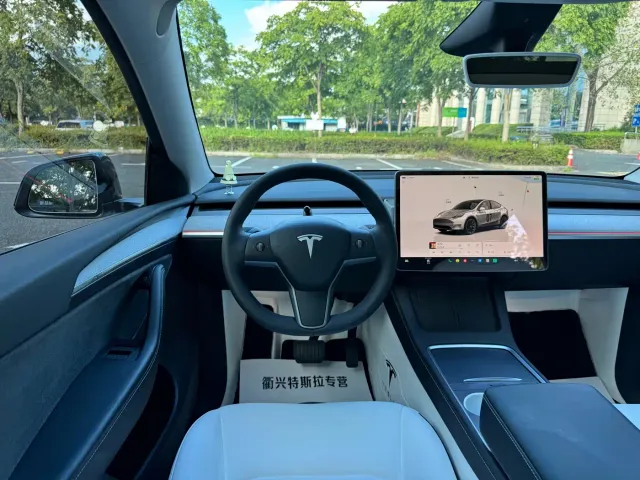 Tesla Model Y — Фото автомобиля 10