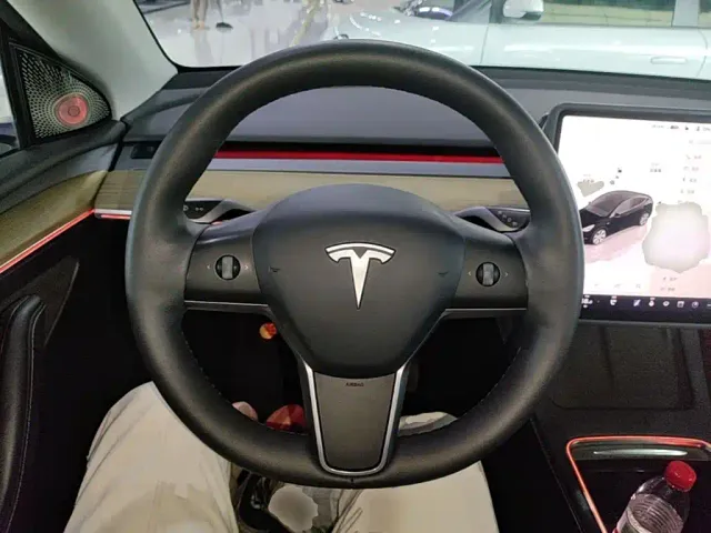 Tesla Model Y — Фото автомобиля 10