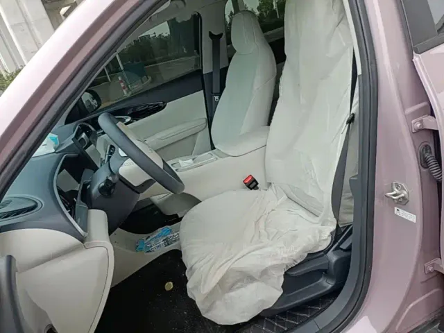 Geely Starry Wish — Фото автомобиля 14