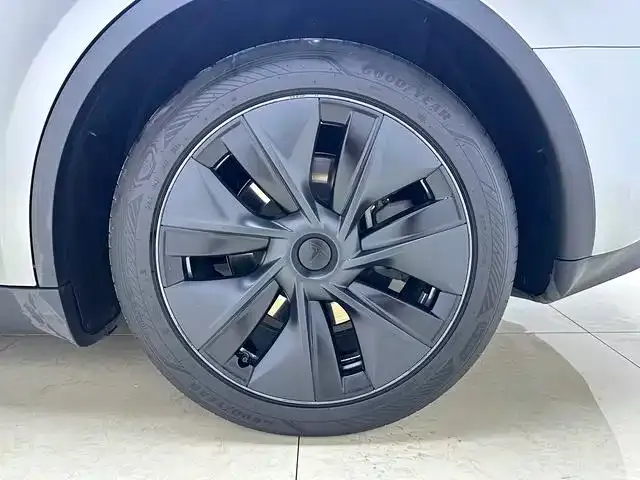 Tesla Model Y — Фото автомобиля 16
