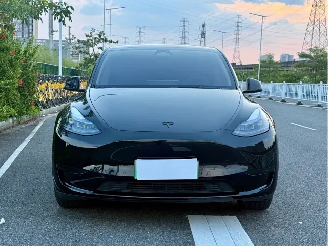 Tesla Model Y — Фото автомобиля 2