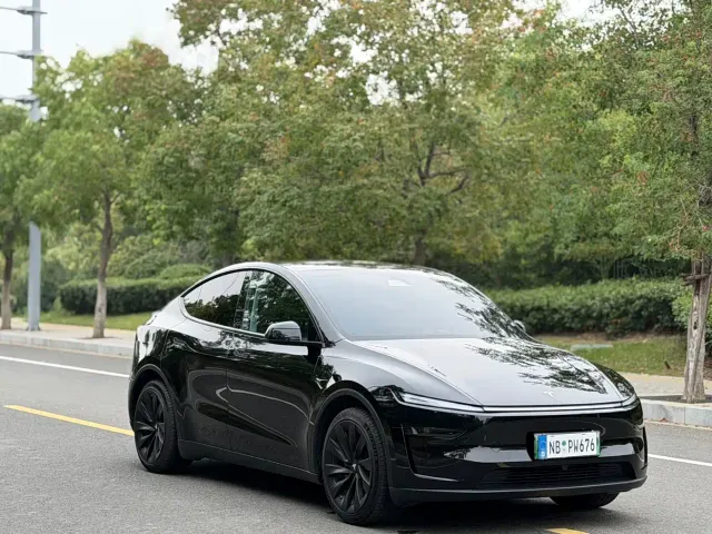 Tesla Model Y — Фото автомобиля 3