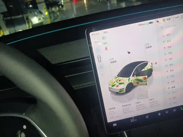Tesla Model Y — Фото автомобиля 10