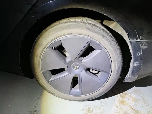 Tesla Model 3 — Фото автомобиля 7