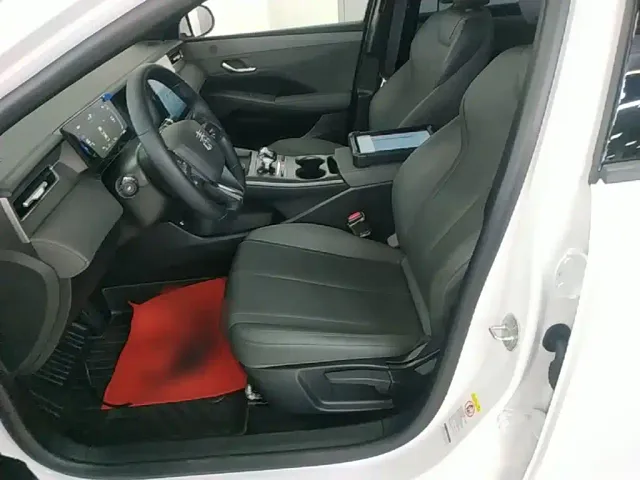 BYD Qin PLUS — Фото автомобиля 14
