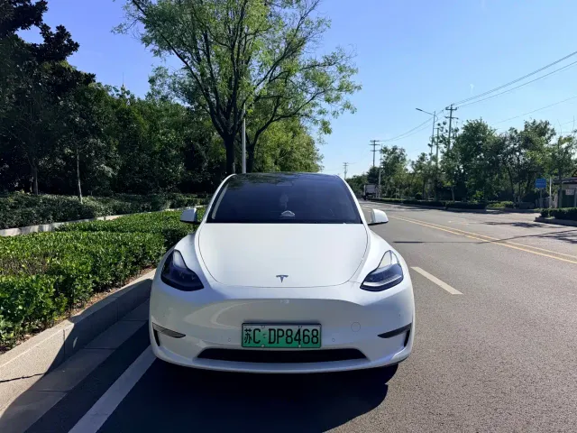 Tesla Model Y — Фото автомобиля 2