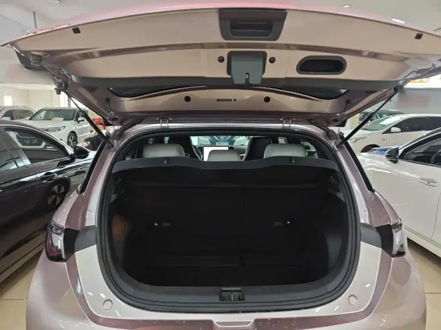 BYD Dolphin — Фото автомобиля 12