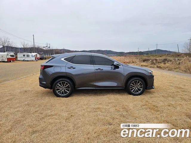 Lexus NX — Фото автомобиля 8