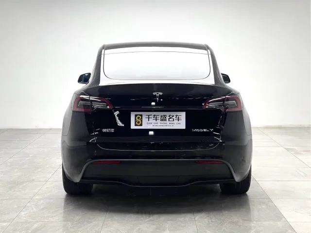 Tesla Model Y — Фото автомобиля 5