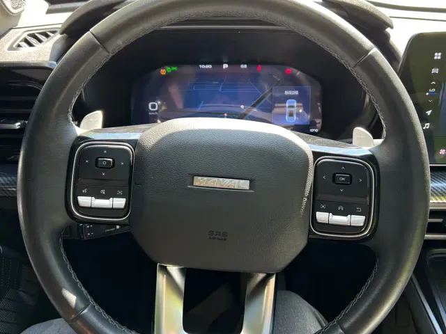 Haval Cool Dog — Фото автомобиля 12