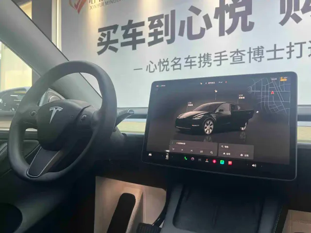 Tesla Model Y — Фото автомобиля 9