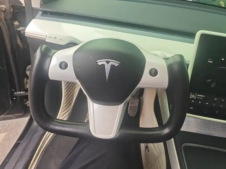 Tesla Model Y 2021 Standard Range Rear-Wheel Drive — Фото автомобиля 15