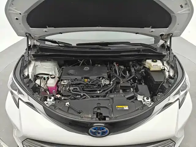 Toyota Sienna — Фото автомобиля 9