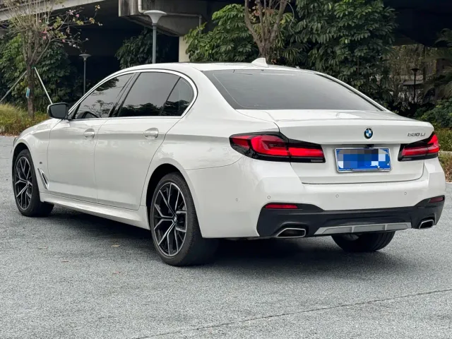 BMW 5 Series — Фото автомобиля 6