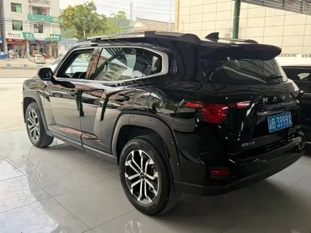 Haval Big Dog — Фото автомобиля 9