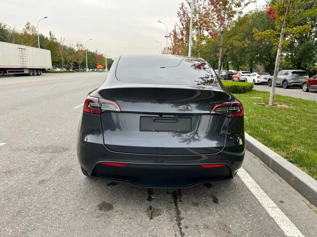 Tesla Model Y — Фото автомобиля 19