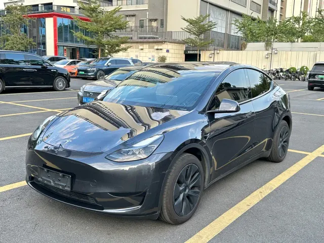 Tesla Model Y — Фото автомобиля 8