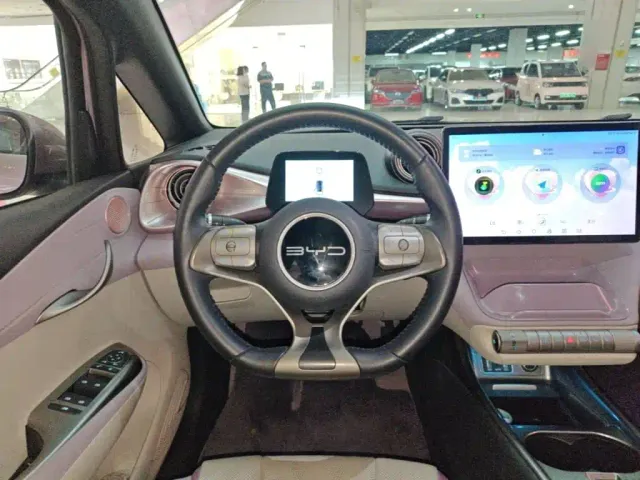 BYD Dolphin — Фото автомобиля 10