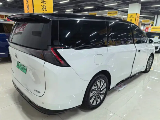 Buick Zhijing Shijia — Фото автомобиля 13