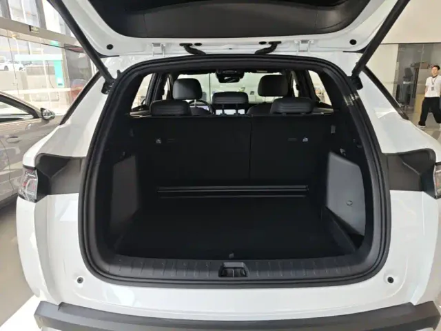 BYD Song L DM-i — Фото автомобиля 18