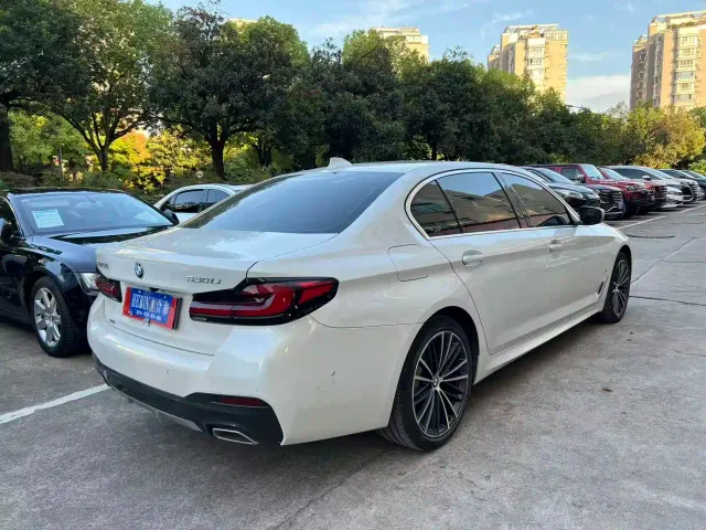BMW 5 Series — Фото автомобиля 8