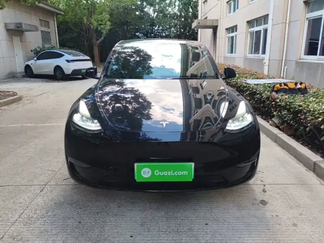 Tesla Model Y — Фото автомобиля 2