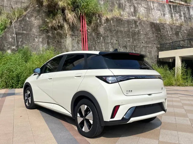BYD Dolphin 2023 420km Freedom Edition — Фото автомобиля 9