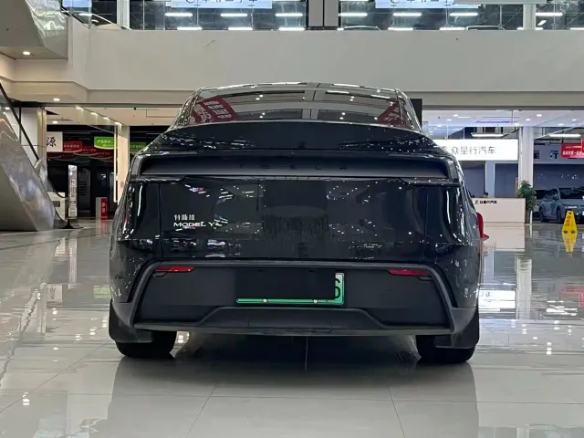 Tesla Model Y — Фото автомобиля 8