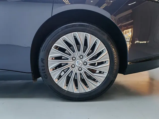 Buick Electra L7 — Фото автомобиля 18