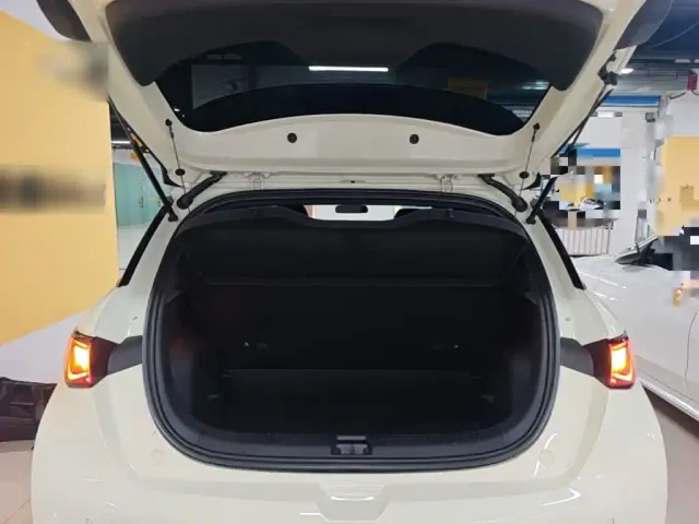 BYD Dolphin — Фото автомобиля 18