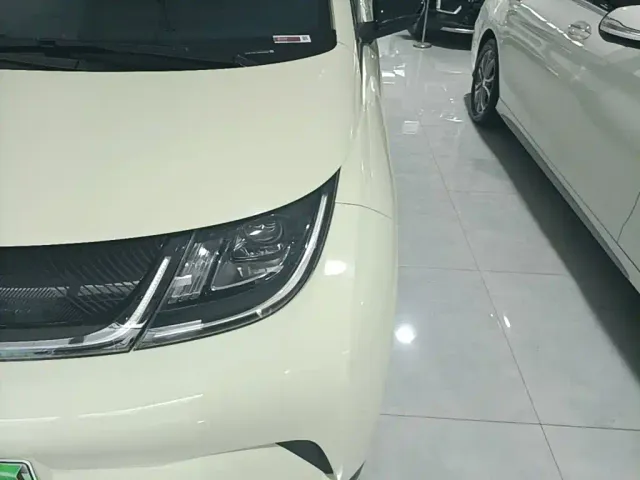BYD Dolphin — Фото автомобиля 23