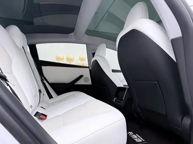 Tesla Model 3 — Фото автомобиля 25