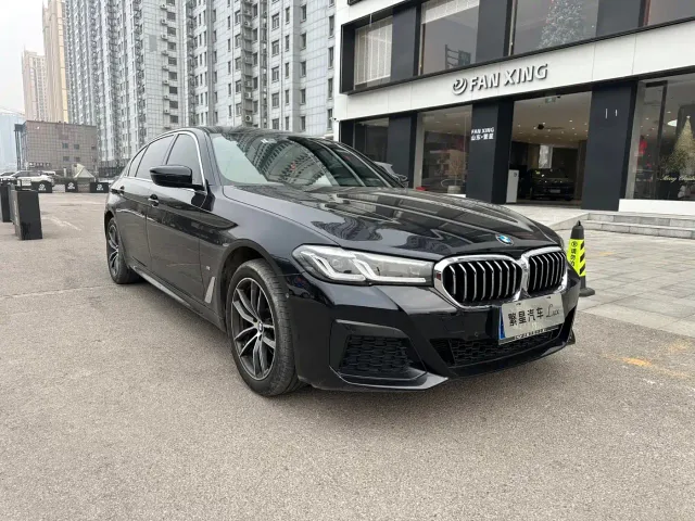 BMW 5 Series — Фото автомобиля 2