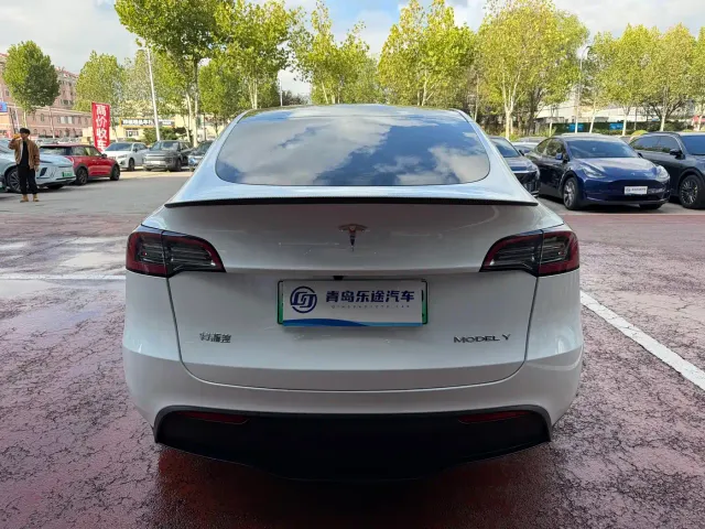 Tesla Model Y — Фото автомобиля 5