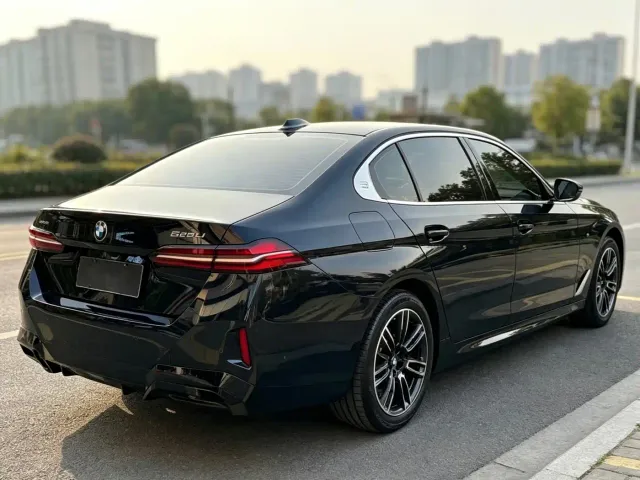 BMW 5 Series — Фото автомобиля 19