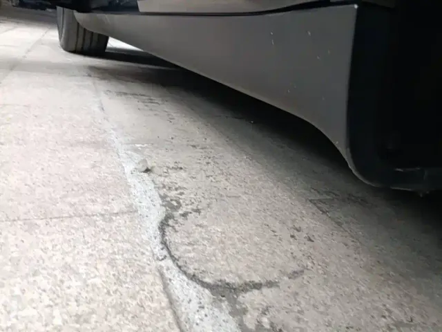 Tesla Model Y — Фото автомобиля 21