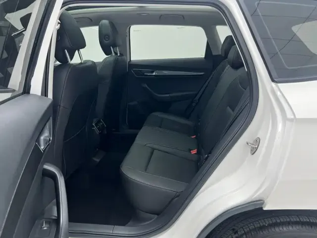 Skoda Karoq — Фото автомобиля 17
