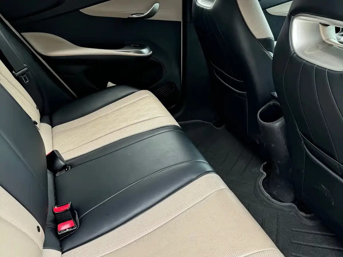 BYD Dolphin 2024 Glory Edition 420km Fashion Edition — Фото автомобиля 10