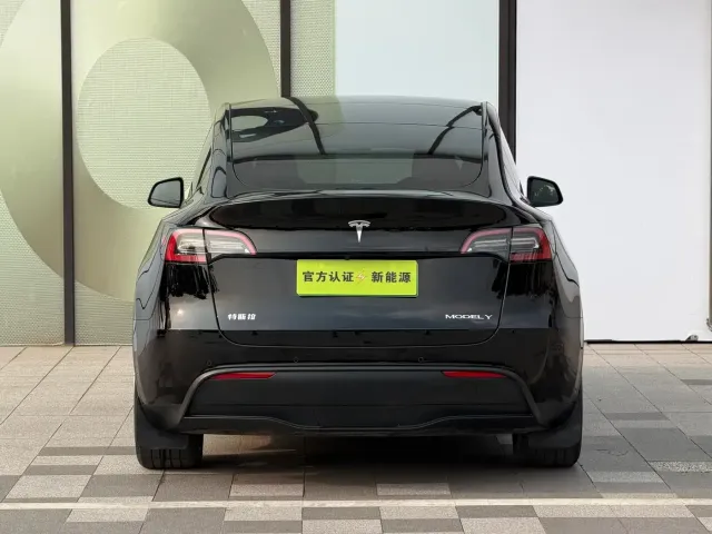 Tesla Model Y 2023 Rear-Wheel Drive Edition — Фото автомобиля 5