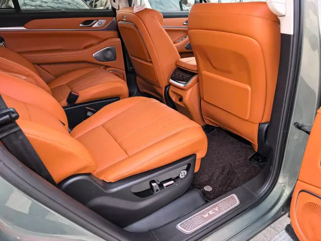 Wey Lanshan — Фото автомобиля 9